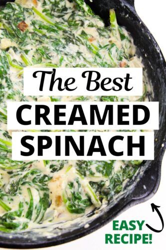 Best Creamed Spinach, Easy Creamed Spinach, Best Creamed Spinach Recipe, Creamed Spinach Recipe Easy, Fresh Spinach Recipes, Easy Spinach Recipes, Spinach Side Dish, Spinach Recipes Healthy, Creamed Spinach Recipe