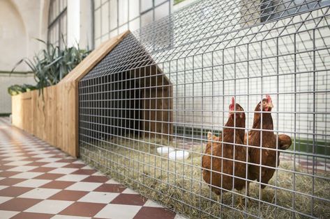 Photo 23 of 29 in 10 Modern Chicken Coops That Rule the Roost - Dwell Reban Ayam, Chicken Tunnels, Chicken Coop Garden, Florida Landscaping, Backyard Chicken Coop Plans, Landscaping Florida, Landscaping Simple, Coop Design, Chicken Cages