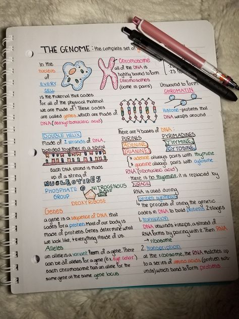 How To Understand Biology, Stiochemistry Notes, Biotechnology Aesthetic Notes, Biology Study Notes, Health Notes Aesthetic, Anatomy Notes Aesthetic, Medical Notes Aesthetic, Biochemistry Notes, Studera Motivation