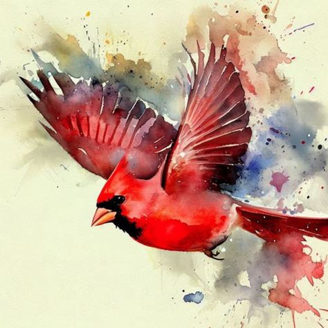 Red Birds Painting, Cardinals Painting, Cardinal Bird Painting, Red Cardinal Flying, Watercolour Cardinal, Red Bird Drawing, Christmas Cardinal Painting, Cardinal Artwork, Cardinal Flying