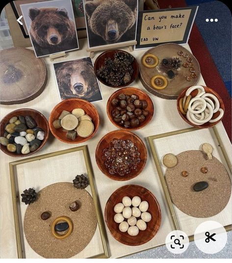 November Provocations Kindergarten, Preschool Provactions, November Reggio Activities, Bears Eyfs Activities, Reggio Animal Provocations, Loose Parts Provocation, Hibernation Eyfs, Animal Activities Eyfs, Reggio Crafts