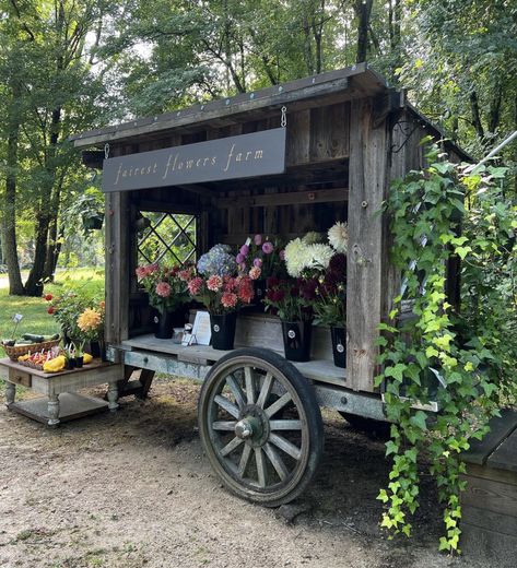 Tomatoes And Cucumbers, Farmers Market Stand, Farmers Market Display, Vegetable Stand, Cut Flower Farm, Market Stands, Farm Gate, Homestead Farm, Flower Truck