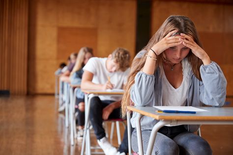 Is your student TOO stressed, or NOT stressed enough? - Creating Positive Futures Mental Health Activities, Maths Exam, Exam Day, Health Activities, Mental Math, Final Exams, Student Activities, Law School, Practical Advice