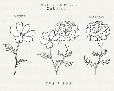 October Month Flower Tattoo, Flower Tattoos October, October Birth Flower Bouquet, Birth Month Flower October, Marigold And Cosmos Flower Drawing, October's Birth Flower, Tattoo October Birth Flower, Cosmos Bouquet Tattoo, Birth Flower Tattoo October