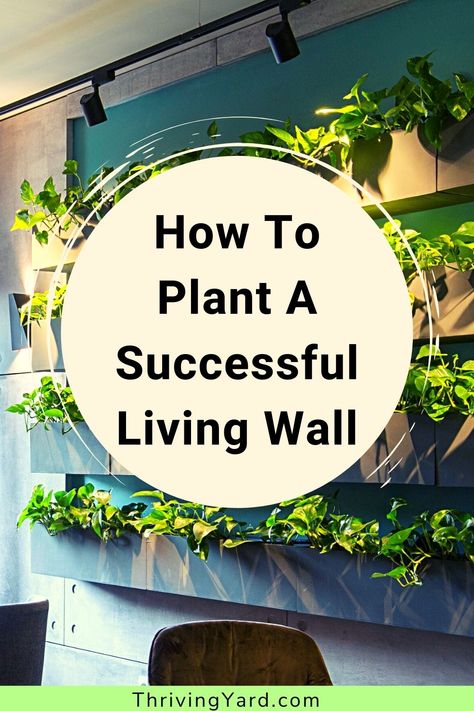 Living walls are vertical gardens that are a beautiful addition to a fence or wall space to add greenery. But they can be high-maintenance and are prone to root problems. Learn more on how to plant, maintain, preserve and take care of your living wall. Plus more about gardening in small spaces. #indoorgardening #livingwall #verticalgarden Gardening In Small Spaces, Vertical Growing, Garden Improvement, Worm Composting, Living Walls, Vertical Gardens, Indoor Gardens, High Maintenance, Indoor Gardening