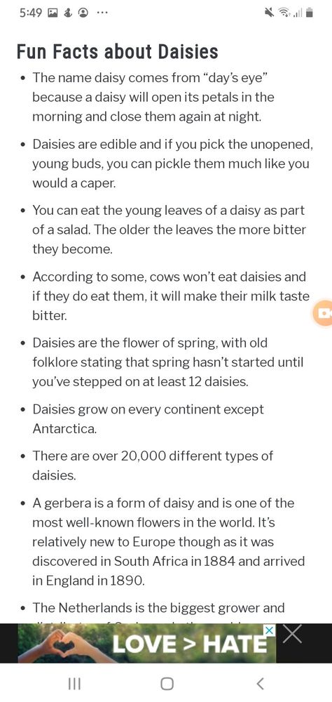 Daisy Witchcraft, African Daisy, Facts About, Fun Facts, Witch, Daisy, Spirituality, Moon, Plants