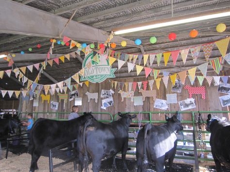 Beef barn decor Stall Decor Ideas For Fair, Livestock Pen Decorations, 4-h Fair Pen Decorations, 4h Livestock Pen Decorations, Pig Pen Decorating Ideas Fair, 4h Decorations For Fair, 4-h Fair Booth Ideas, County Fair Stall Decorations Ideas, Goat Pen Decorations Fair