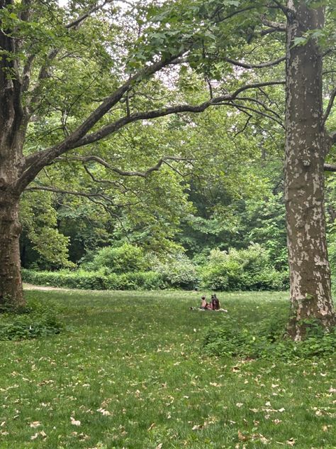 central park, meadow, aesthetic, picnic Picnic Park Aesthetic, Park Picnic Aesthetic, Meadow Picnic, Meadow Aesthetic, Central Park Picnic, Park Aesthetic, Aesthetic Picnic, Picnic In The Park, Perfect Date