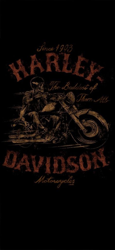 Devil Art, Harley Davidson Merchandise, Harley Davidson Images, Harley Davidson Posters, Hd Designs, Harley Davidson Sportster 883, Harley Davidson Artwork, Harley Davidson Wallpaper, Apparel Design Inspiration