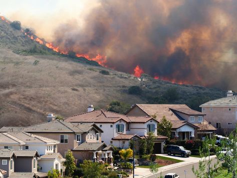 5 Dangers of Smoke Inhalation for Pets Emergency Essentials, Evacuation Plan, California Wildfires, Extreme Weather Events, Wild Fire, Disaster Preparedness, Protecting Your Home, Emergency Preparedness, Extreme Weather