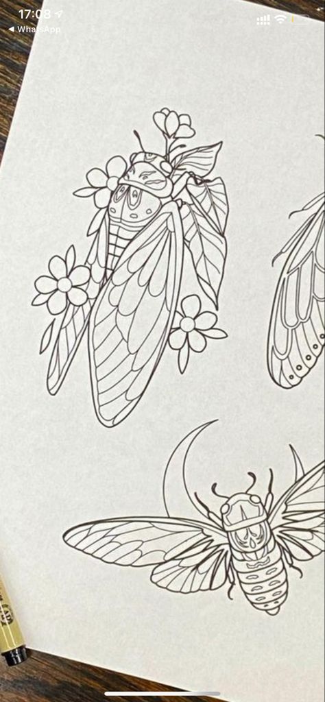 Cicada And Flowers Tattoo, Cicada Flash Tattoo, Simple Cicada Drawing, Cicada Art Illustration, Bug Flower Tattoo, Cicada Tattoo Traditional, Bug And Flower Tattoo, Bug Flash Tattoo, Simple Bug Drawing