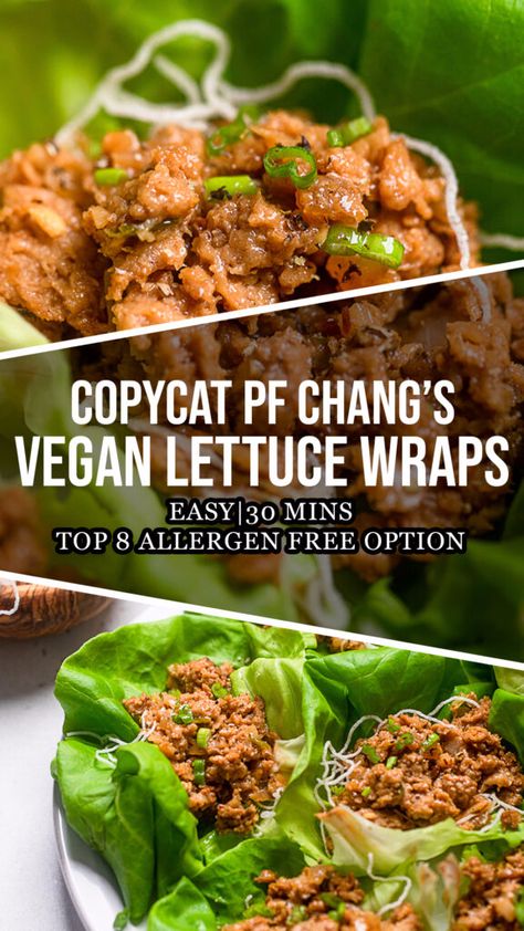 Pf Changs Veggie Lettuce Wraps, Pf Chang Vegetarian Lettuce Wrap, Pf Changs Tofu Lettuce Wraps, Pf Chang’s Vegetarian Lettuce Wraps, Vegan Tofu Lettuce Wraps, Vegan Lettuce Wraps Pf Changs, P F Chang’s Lettuce Wraps, Tofu Lettuce Wraps Pf Changs, Lettuce Wraps Pf Changs Recipe