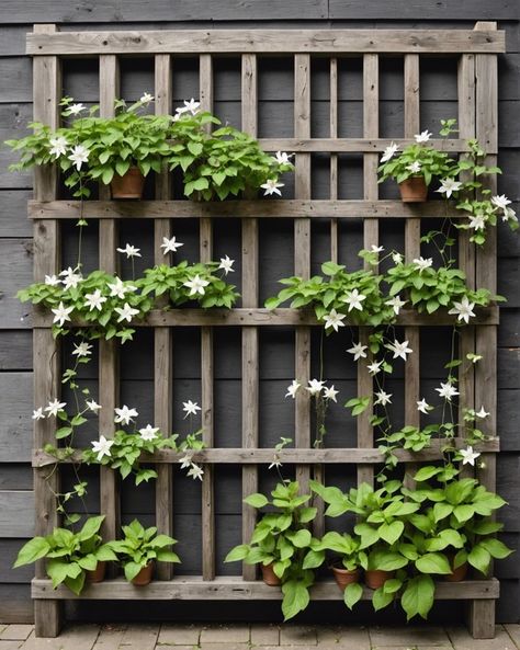 20 Clematis Trellis Ideas For Climbing Vines - Toolz Geek Trellis With Flowers, Clematis Trellis Ideas, Wall Mounted Trellis, Clematis Trellis, Gabion Cages, Trellis Fence, Modern Trellis, Wood Trellis, Trellis Ideas