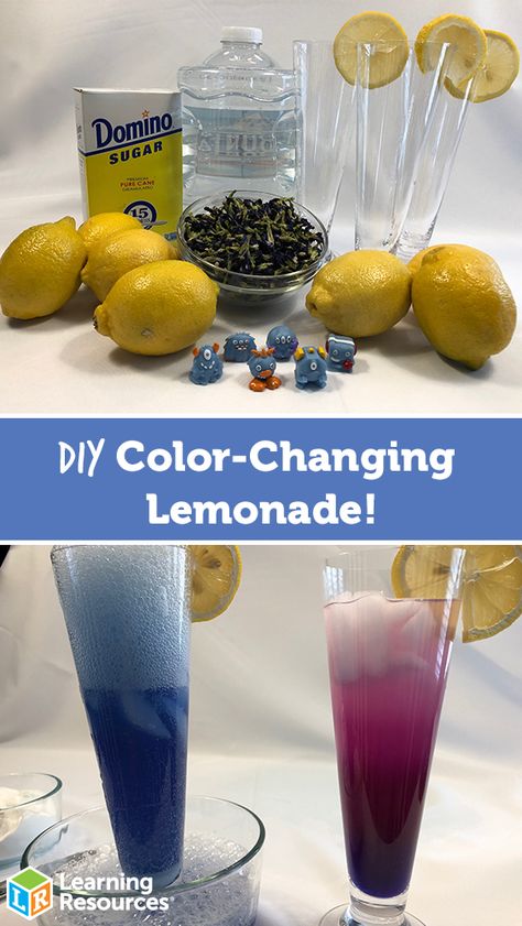 Diy Lemonade, Camp Snacks, Mad Scientist Party, Butterfly Pea Tea, Butterfly Pea Flower Tea, Kitchen Science, Food Experiments, At Home Science Experiments, Steam Projects