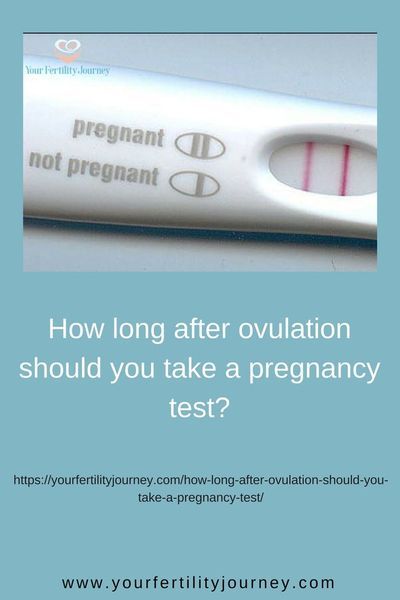 When should you take a pregnancy test? #ovulation, #BFP, #BFN, #TTC, #tryingtoconceive, #getpregnant. http://www.tailwindapp.com?utm_source=pinterest&utm_medium=twpin) Best Pregnancy Test, Ovulation Tracking, Ways To Get Pregnant, Fertility Diet, Natural Fertility, Get Pregnant Fast, Trying To Conceive, Pregnancy Test, Healthy Babies