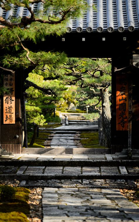 Japanese Style House, Japanese Temple, Asian Garden, Asian Architecture, Japan Culture, Japanese Architecture, Japanese Aesthetic, Kyoto Japan, Japanese House