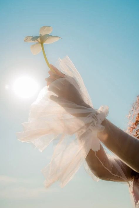 Outstretched Arms Photos, Download The BEST Free Outstretched Arms Stock Photos & HD Images Eight Limbs Of Yoga, Image Nature, Spiritual Enlightenment, Summer Solstice, Adobe Photoshop Lightroom, Ancient Wisdom, Photoshop Lightroom, Creative Expressions, Spiritual Awakening