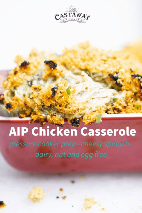 Aip Casserole, Hs Diet, Aip Cheese, Chicken Casserole Keto, Aip Lunch, Pork Panko, Chicken And Spinach Casserole, Aip Chicken, Paleo Comfort Food