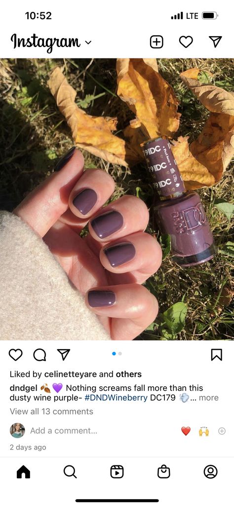 Dnd Fall Nails, Nail Polish Combinations, Dnd Gel Nail Polish, Dnd Nail Polish, Gel Nail Polish Colors, Dnd Gel Polish, Nails Only, Hair Skin Nails, Get Nails