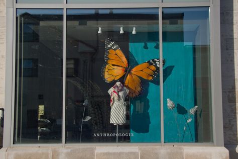 Butterfly Window Display, Anthropologie Store, Earthly Delights, Senior Project, Store Windows, Window Displays, Shop Window, Monarch Butterfly, Blue Butterfly