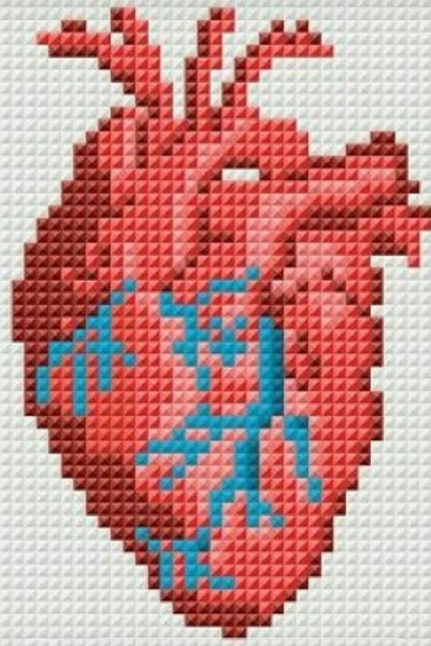 Anatomical Heart Cross Stitch, Geeky Cross Stitch Patterns, فن النسيج, Heart Cross Stitch, Small Patterns, Graph Crochet, Pixel Crochet, Tapestry Crochet Patterns, Pola Kristik