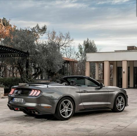 Mustang Cabriolet, Gt 350, S550 Mustang, Mustang Convertible, My Dream Car, Aaliyah, Albania, Ford Mustang, Luxury Cars