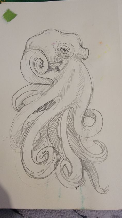 Art Sketches Pencil Animals, Aesthetic Octopus Drawing, Octopus Drawings Simple, Octopus Drawing Pencil, Sketches Of Octopus, Drawing Ideas Octopus, Octopus Sketch Drawings, Octopus Drawing Reference, Sketches Of Sea Animals