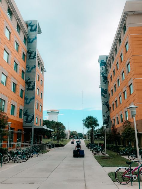 University Of South Florida Aesthetic, Usf Aesthetic, Beach College, Move In Day, College Vibes, Florida College, Usf Bulls, Study Vibes, Colleges In Florida