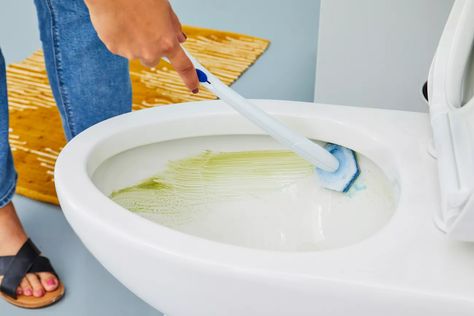 The 7 Best Toilet Brushes of 2024, According to Testing Best Toilet Brush, Toilet Hacks, Best Toilet Bowl Cleaner, Clean Toilet, Toilet Bowl Brush, Cleaning Laundry, Toilet Bowl Cleaner, Stainless Steel Rod, Silicone Brush