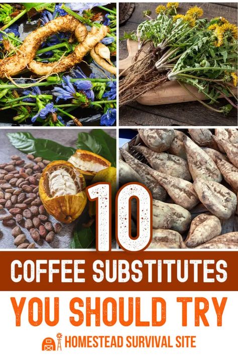 These coffee substitutes can help you enjoy a flavorful caffeine-free beverage. Explore these alternatives to find the perfect replacement. Caffeine Substitute, Alternatives To Coffee, Herbal Coffee Alternatives, Caffeine Alternatives, Pioneer Foods, Coffee Substitute, Canned Food Storage, Survival Life Hacks, Superbowl Party Food