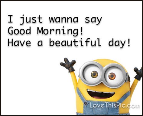 20 Awesome Good Morning Minion Quotes That You Will LOVE Good Morning Minions, Funny Good Morning Memes, Funny Good Morning, Good Morning Ladies, Funny Minion Memes, Morning Memes, A Minion, Funny Good Morning Quotes, Morning Quotes Funny