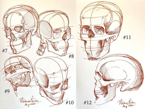 How to Sketch a Skull Skull Anatomy Drawing Study, Skull Anatomy Drawing, Skull Drawing Reference, How To Draw Skulls, Anatomy Drawing Study, Draw Skull, Skull Drawing Sketches, Skull Anatomy, Skull Reference