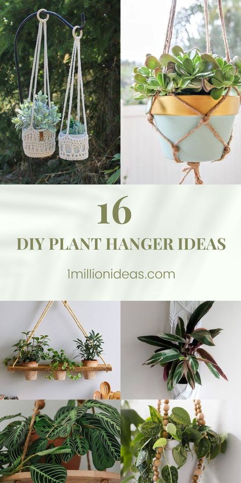 How To Tie Plant Hanger, Jute Plant Hanger Diy, Diy Plant Hangers, Plant Hanger Ideas, Crochet Plant Hanger, Indoor Plant Wall, Hanger Ideas, Hanging Planters Indoor, Hanging Plant Wall