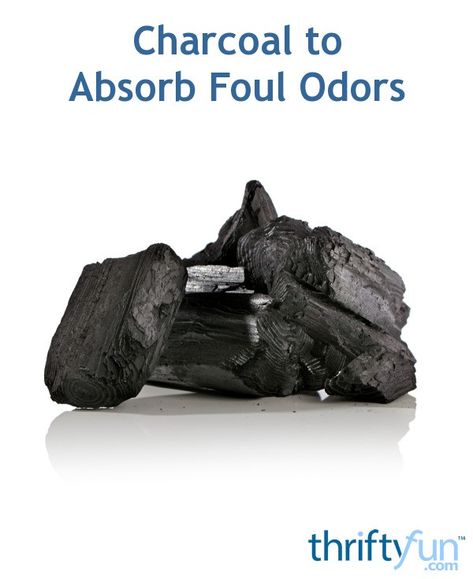 Aside from using charcoal for grilling fishes, meat, corn, charcoal also can be used as foul odor absorber. If there is a foul odor inside your living room, bedroom, bathroom, kitchen or even inside your fridge, you can use charcoal to absorb the odor. Charcoal For Odor Removal, Charcoal Odor Absorber Diy, Odor Absorber Diy, Room Deodorizer, Odor Absorber, Lump Charcoal, Charcoal Briquettes, Moisture Absorber, Urine Smells