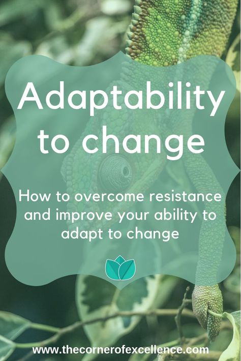 Do you adapt well to changes? Does it depend on the type of change? Find out about resistance to change and the process of adaptation to change. Learn how to improve your adaptability to change. #change #adaptability #resistance #adapttochange #changeprocess #softskills #fear #changemanagement #flexibility #resilience #fluidintelligence Embracing Change, Single Moms, Soft Skills, Support Group, Life Purpose, Life Advice, Self Improvement Tips, Emotional Intelligence, Network Marketing