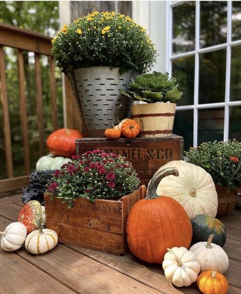 Outdoor Fall Decor Ideas, Fall Front Porch Decor Ideas, Fleurs Diy, Fall Decor Inspiration, Fall Planters, Fall Front Porch Decor, Fall Thanksgiving Decor, Fall Deco, Autumn Decorating