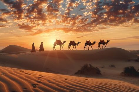 Photo bedouin camel drivers in thar dese... | Premium Photo #Freepik #photo Camels Desert, Thar Desert, Jaisalmer, Desert Sunset, Silk Road, Business Card Maker, Poster Maker, Card Banner, Poster Invitation