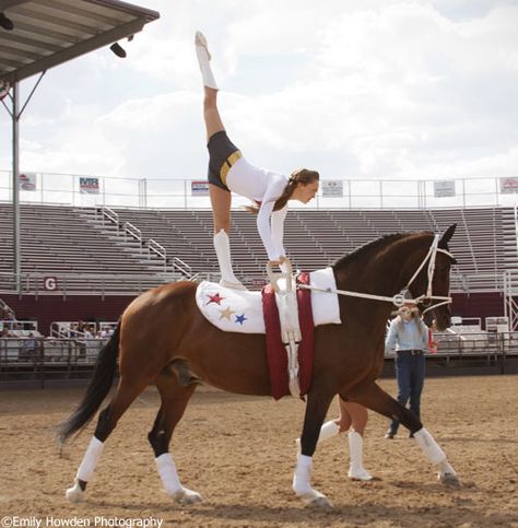 Wild Horse Videos, Horse Gymnastics, Horses Show Jumping, Vaulting Horses, Vaulting Horse, Equestrian Vaulting, Get More Flexible, Vaulting Equestrian, Horse Yoga