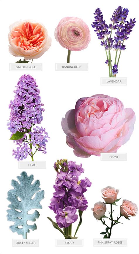 Flower Recipes Arrangement, Flower Recipe, Flower Recipes, Bouquet Recipe, Different Types Of Flowers, Desired Reality, Flower Guide, Purple Wedding Flowers, Church Flowers