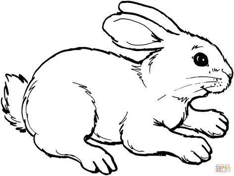 22+ Beautiful Image of Rabbit Coloring Pages - davemelillo.com Bunny Drawings, Rabbit Clipart, Animal Outline, Rabbit Pictures, Easy Animal Drawings, Rabbit Colors, Rabbit Drawing, Animal Templates, Farm Animal Coloring Pages