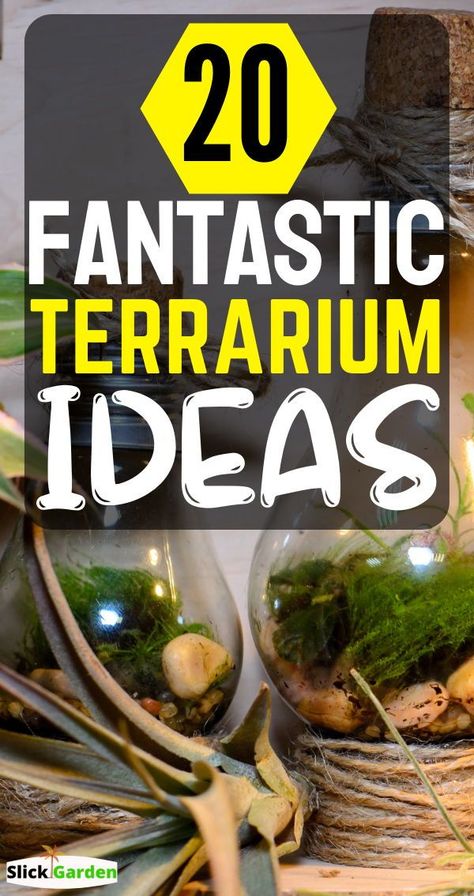 20 Fantastic Terrarium Ideas. You can grow different types of plants such as succulents, ferns, strawberry begonia, moss, and many more. In this article, we are going to discuss different ideas for creating a fantastic moss terrarium. Diy Glass Terrarium Ideas, Ideas For Terrariums, Large Glass Terrarium Ideas, Diy Plant Terrarium How To Make, Hanging Glass Terrarium Ideas, Creative Terrarium Ideas, Terrarium Plants Ideas, Fairy Garden Terrarium Ideas, Moss Terrarium Ideas Unique