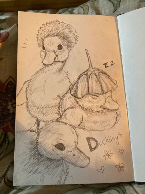 Scary Duck Drawing, Cute Aesthetic Animal Drawings, Drawing Ideas Shading Sketch, Spring Things To Draw, Sleepy Animal Drawing, Creative Inspo Art, Fantastic Drawing Ideas, Old Drawings Aesthetic, Interesting Art Ideas Drawings