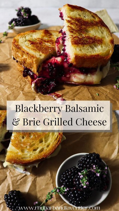 Indulge in this elevated grilled cheese sandwich with tangy blackberry balsamic jam and creamy, melted brie. A delicious twist on a classic favorite. Balsamic Jam, Grilled Cheese Recipes Gourmet, Blackberry Balsamic, Brie Grilled Cheese, Melted Brie, Grilled Cheese Recipes, Delicious Sandwiches, Cheese Sandwich, Grilled Cheese Sandwich