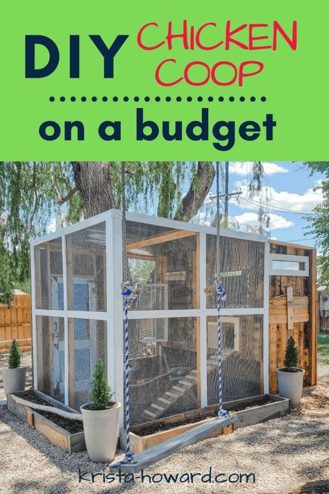 Chicken Coop On A Budget, Backyard Chicken Coop Diy, Chicken Coop Designs Diy, Cute Chicken Coops, Small Chicken Coops, Easy Chicken Coop, Chicken Coop Garden, Backyard Chicken Coop Plans, Diy Chicken Coop Plans