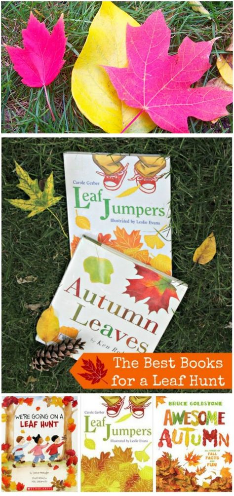 Great ideas & books for a #Fall Leaf Hunt!  Preschool and early childhood Autumn activity. Leaf Hunt Preschool, Leaf Hunt Activities, Leaf Hunt, Fall Activities For Toddlers, Autumn Activity, Toddler Printables, Fall Crafts For Toddlers, Fall Lesson Plans, Fall Preschool Activities