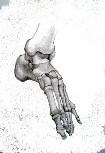 everything starts with a step Feet Bones Drawing, Anatomy Drawing Bones, Skeleton Feet Drawing, Orthopedic Drawing, Drawing Bones, Skeleton Art Drawing, Artist Anatomy, Skeleton Reference, Bones Drawing