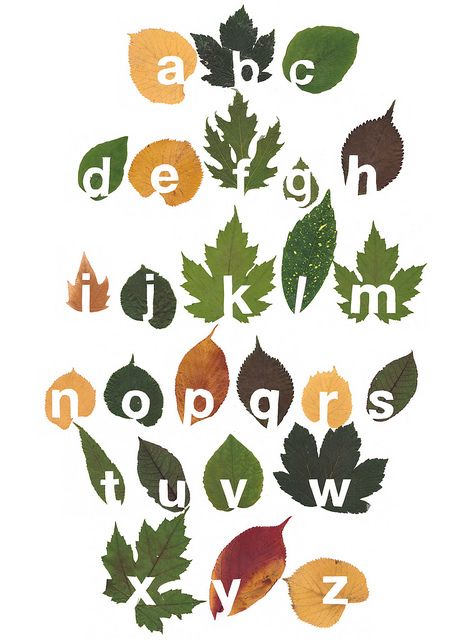 leaf-typography-alphabet-by-studiogloeilamp-twanvankeulen2 by Twan van Keulen, via Flickr Autumn Graphic Design, Plant Typography, Leaf Typography, Nature Typography, Alphabet Posters, Typography Alphabet, Typography Calligraphy, Alphabet Poster, Lettering Typography