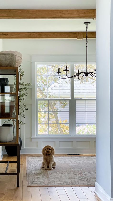 Looking to add some character… …try adding ceiling beams. We partnered with @ornamentalmoulding to add these beautiful Ambrosia Maple beams to our dining room. I’m loving the old world feel they bring! They were super easy to install and the distressing makes it look like they’ve always been there. The dining room is finally coming together. I can’t wait to share the finished room soon! Stay tuned…🤎 Products used: 5x5 Ambrosia Maple Beams (x4) {gif ted} #diningroomdecor #woodbeams #ceilingbe Wood Plans, The Dining Room, Wood Beams, Ceiling Beams, Dining Room Decor, Stay Tuned, Old World, Home Remodeling, Home Projects