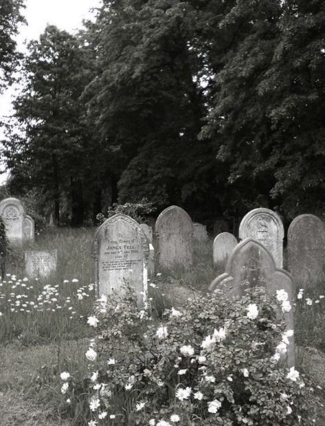 Old Gothic Aesthetic, Goth Aesthetic Images, Old Doll Aesthetic, Soft Gothic Aesthetic, White Gothic Aesthetic, Gloomy Coquette Aesthetic, Cemetery Aesthetic, Graveyard Aesthetic, White Goth Aesthetic