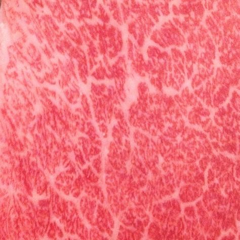 Meat Aesthetic, Packaged Meat, Meat Texture, Usa Restaurant, Kobe Steak, Marbled Meat, Kobe Beef, Food Texture, Shabu Shabu